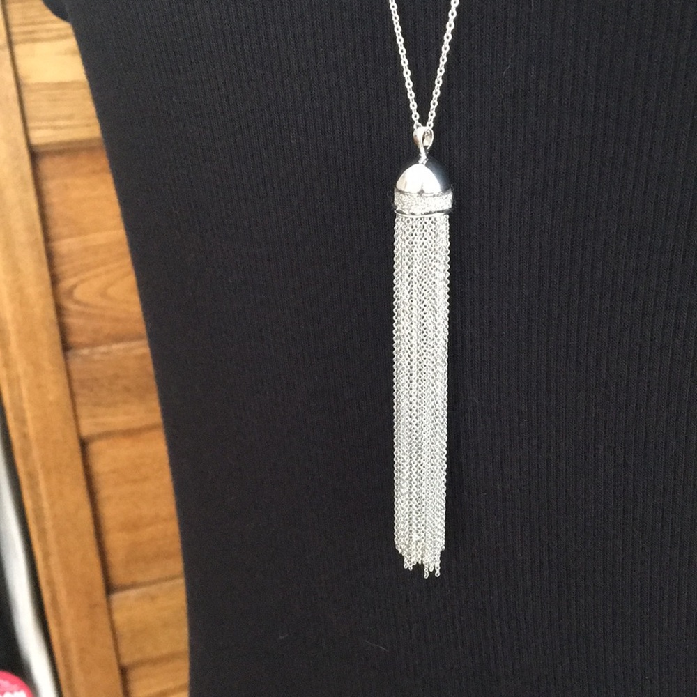 Ann Taylor long silver drop necklace.